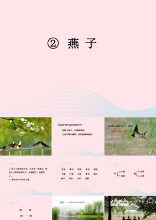 三年级语文下册 第一单元 2《燕子》名优精品课件 新人教版-新人教版小学三年级下册语文课件