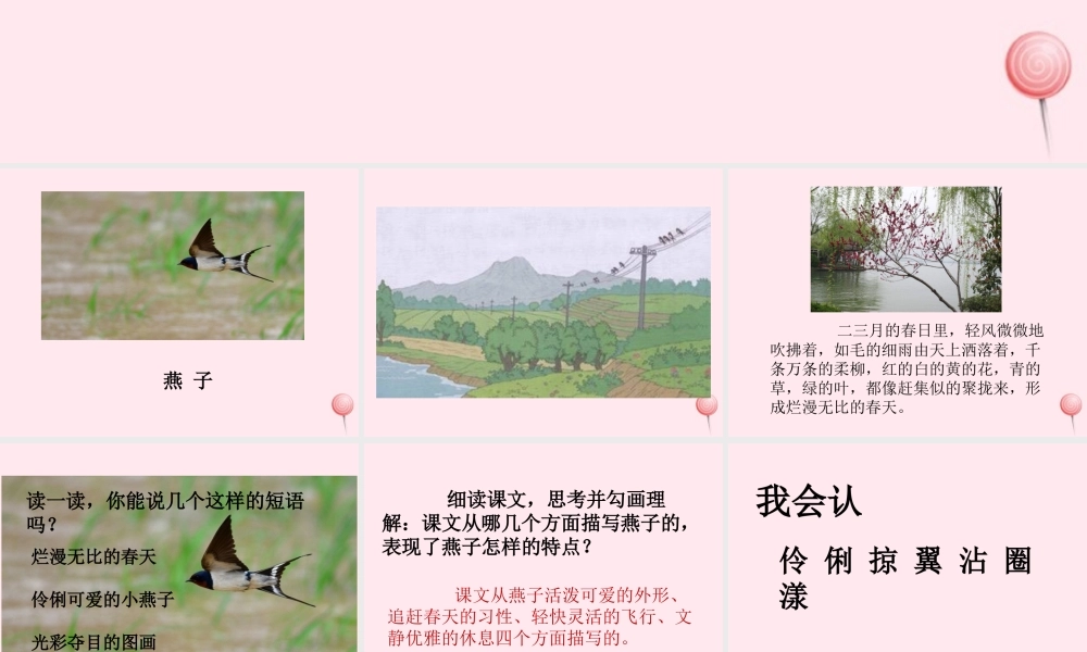 三年级语文下册 第一单元 2燕子课件 新人教版-新人教版小学三年级下册语文课件