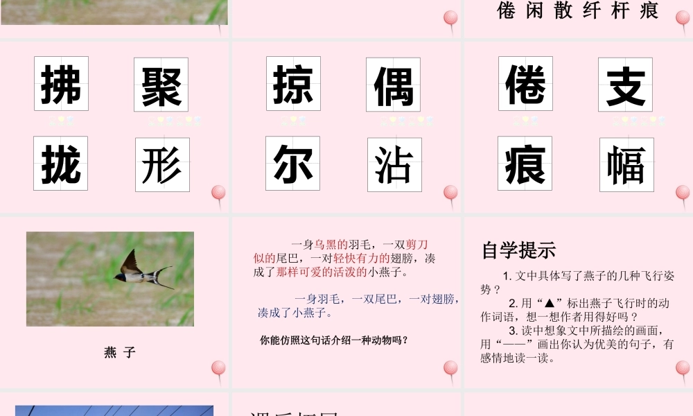 三年级语文下册 第一单元 2燕子课件 新人教版-新人教版小学三年级下册语文课件