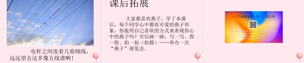 三年级语文下册 第一单元 2燕子课件 新人教版-新人教版小学三年级下册语文课件