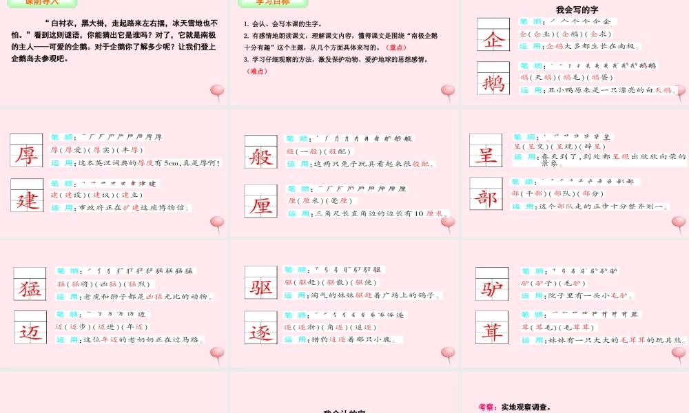 三年级语文下册 第四单元 14 登上企鹅岛课件 语文S版-语文S版小学三年级下册语文课件