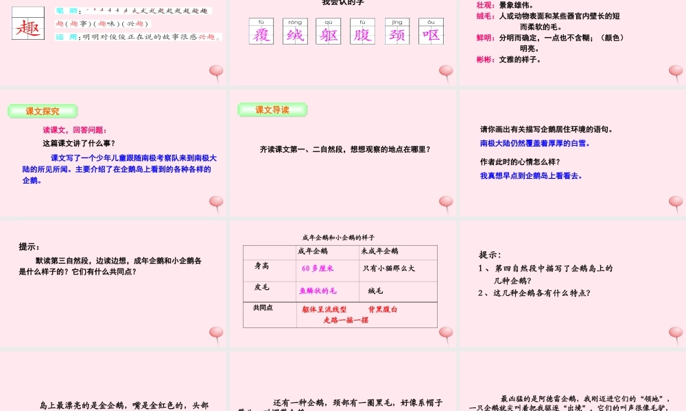 三年级语文下册 第四单元 14 登上企鹅岛课件 语文S版-语文S版小学三年级下册语文课件