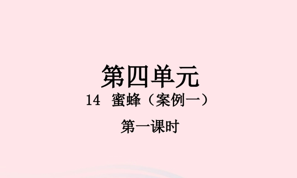 三年级语文下册 第四单元 14 蜜蜂（第1课时）课件 新人教版-新人教版小学三年级下册语文课件