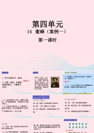 三年级语文下册 第四单元 14 蜜蜂（第1课时）课件 新人教版-新人教版小学三年级下册语文课件