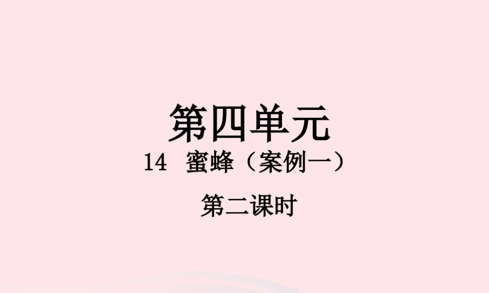 三年级语文下册 第四单元 14 蜜蜂（第2课时）课件 新人教版-新人教版小学三年级下册语文课件