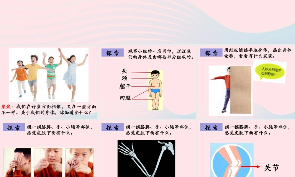 二年级科学下册 我们自己 1 观察我们的身体课件 教科版-教科版小学二年级下册自然科学课件