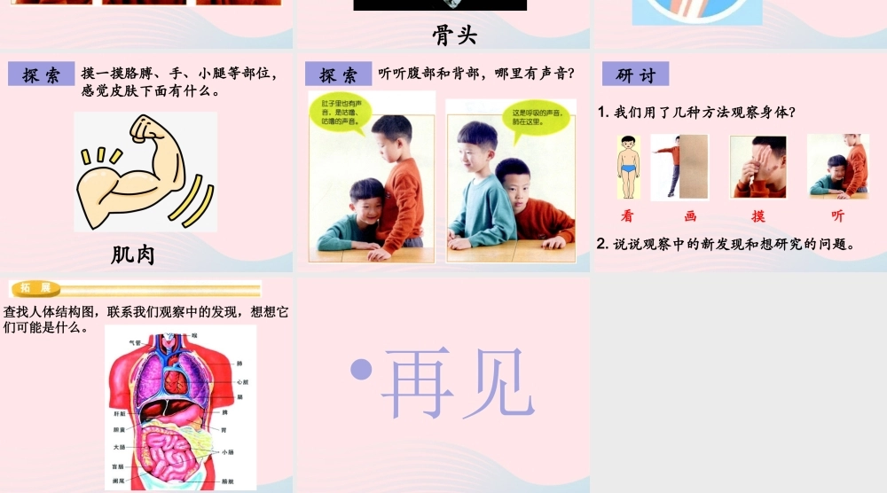 二年级科学下册 我们自己 1 观察我们的身体课件 教科版-教科版小学二年级下册自然科学课件