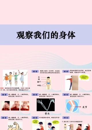 二年级科学下册 我们自己 1 观察我们的身体课件 教科版-教科版小学二年级下册自然科学课件