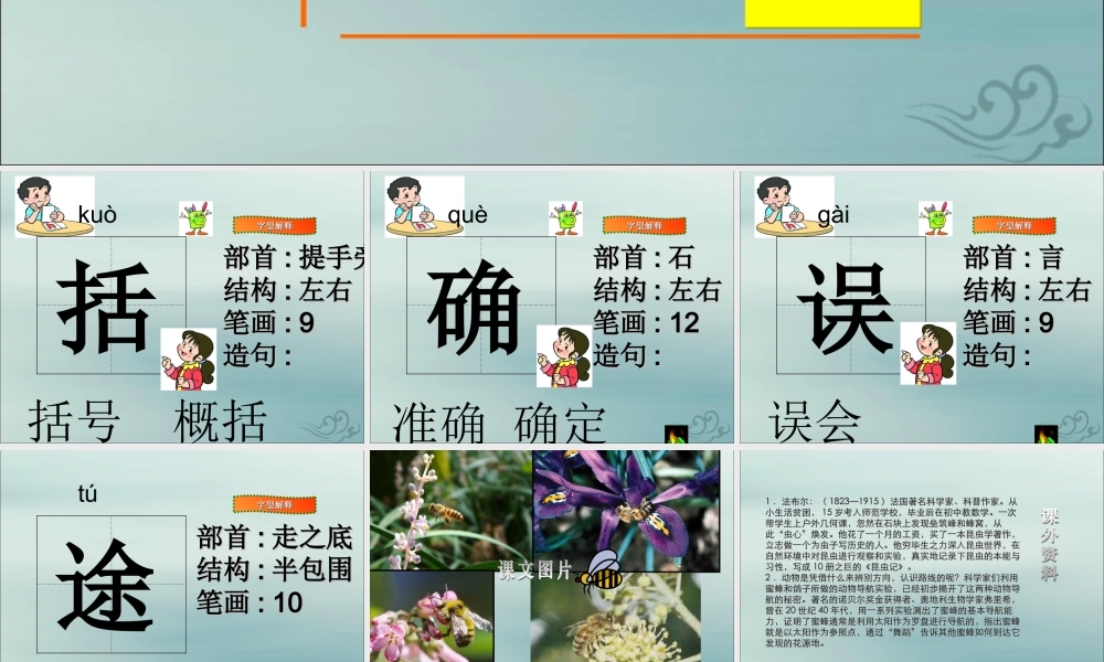 三年级语文下册 第四单元 14 蜜蜂教学课件1 新人教版-新人教版小学三年级下册语文课件