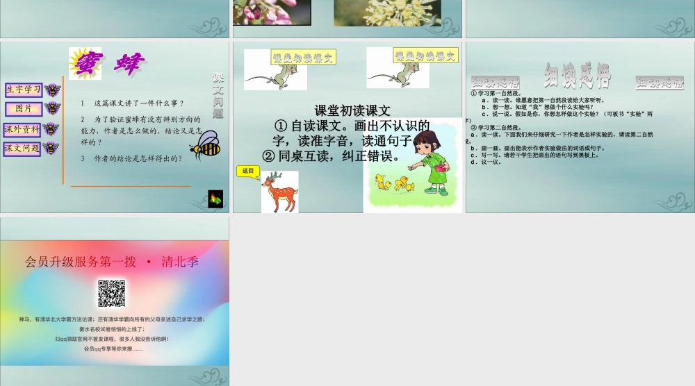 三年级语文下册 第四单元 14 蜜蜂教学课件1 新人教版-新人教版小学三年级下册语文课件