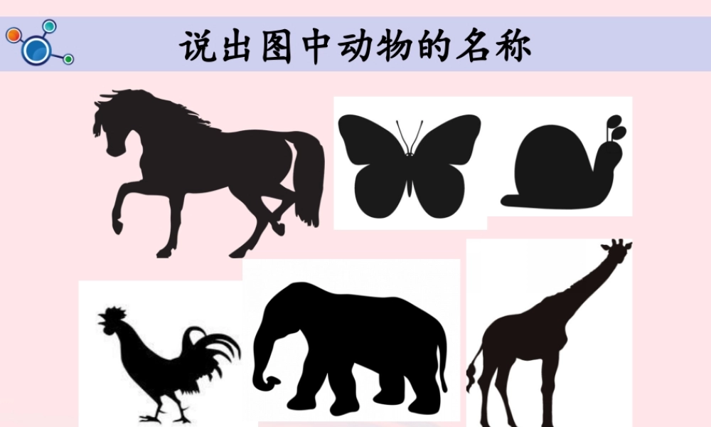 二年级科学下册 我们自己 1《观察我们的身体》教学课件 教科版-教科版小学二年级下册自然科学课件