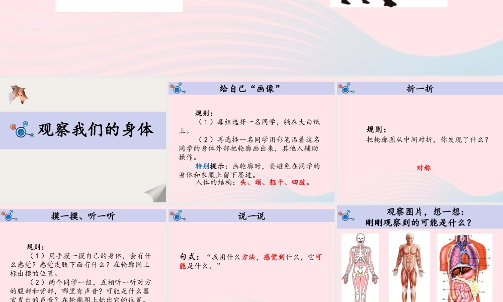 二年级科学下册 我们自己 1《观察我们的身体》教学课件 教科版-教科版小学二年级下册自然科学课件