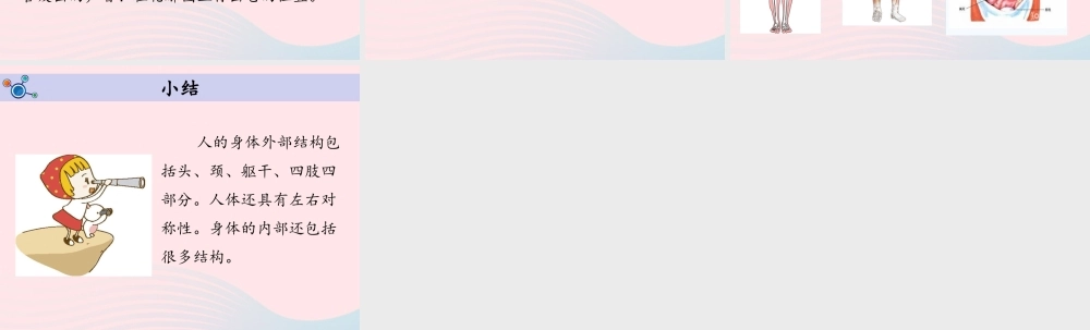 二年级科学下册 我们自己 1《观察我们的身体》教学课件 教科版-教科版小学二年级下册自然科学课件