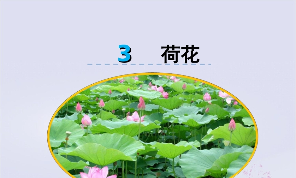 三年级语文下册 第一单元 3 荷花教学课件 新人教版-新人教版小学三年级下册语文课件