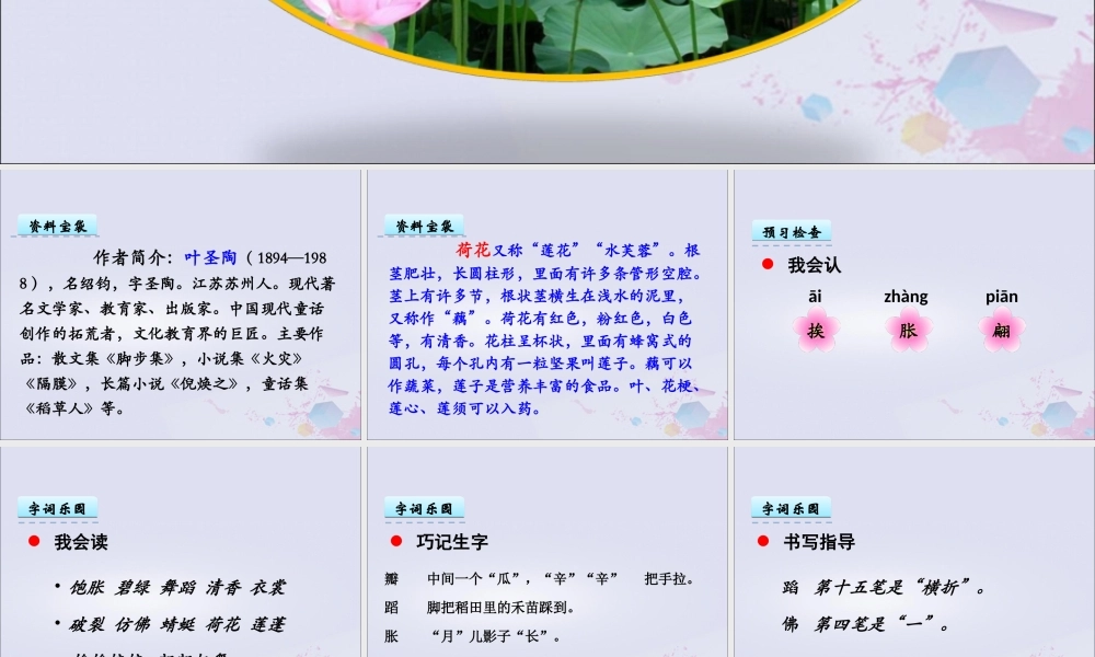 三年级语文下册 第一单元 3 荷花教学课件 新人教版-新人教版小学三年级下册语文课件