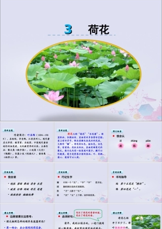 三年级语文下册 第一单元 3 荷花教学课件 新人教版-新人教版小学三年级下册语文课件