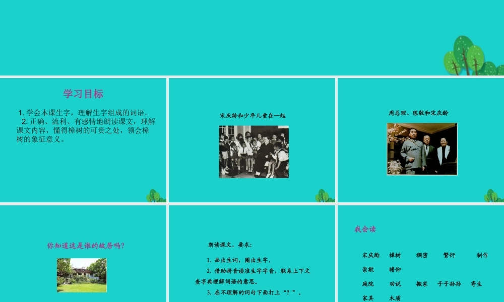 三年级语文下册 第五单元 16《宋庆龄故居的樟树》教学课件 苏教版-苏教版小学三年级下册语文课件