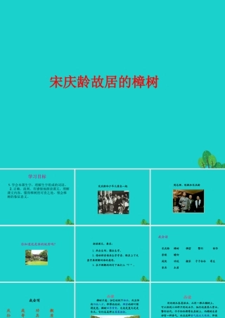 三年级语文下册 第五单元 16《宋庆龄故居的樟树》教学课件 苏教版-苏教版小学三年级下册语文课件