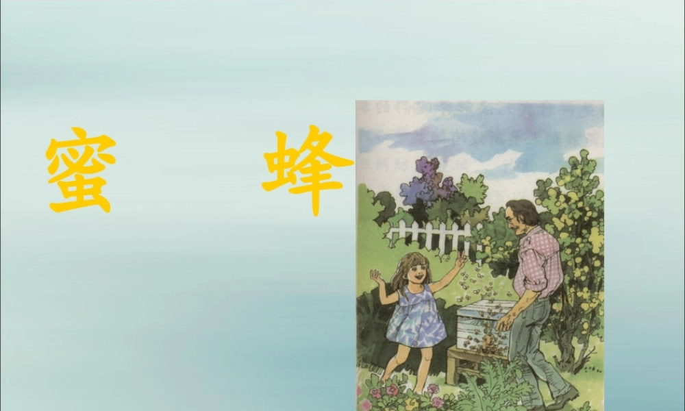 三年级语文下册 第四单元 14 蜜蜂教学课件2 新人教版-新人教版小学三年级下册语文课件