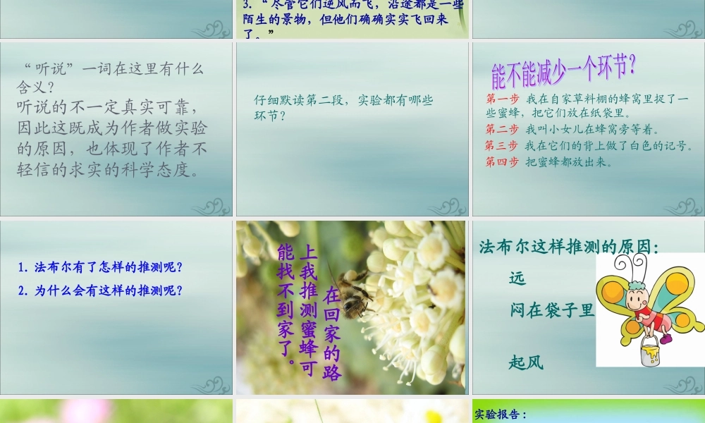 三年级语文下册 第四单元 14 蜜蜂教学课件2 新人教版-新人教版小学三年级下册语文课件