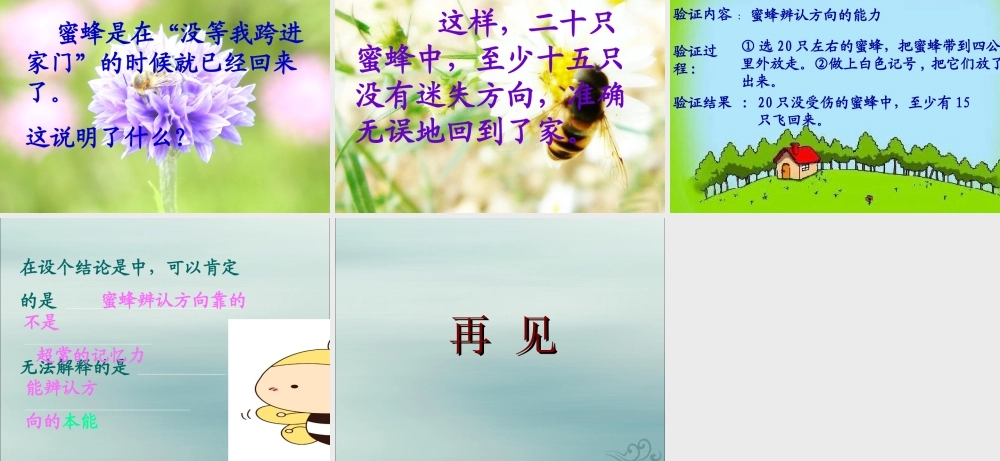 三年级语文下册 第四单元 14 蜜蜂教学课件2 新人教版-新人教版小学三年级下册语文课件