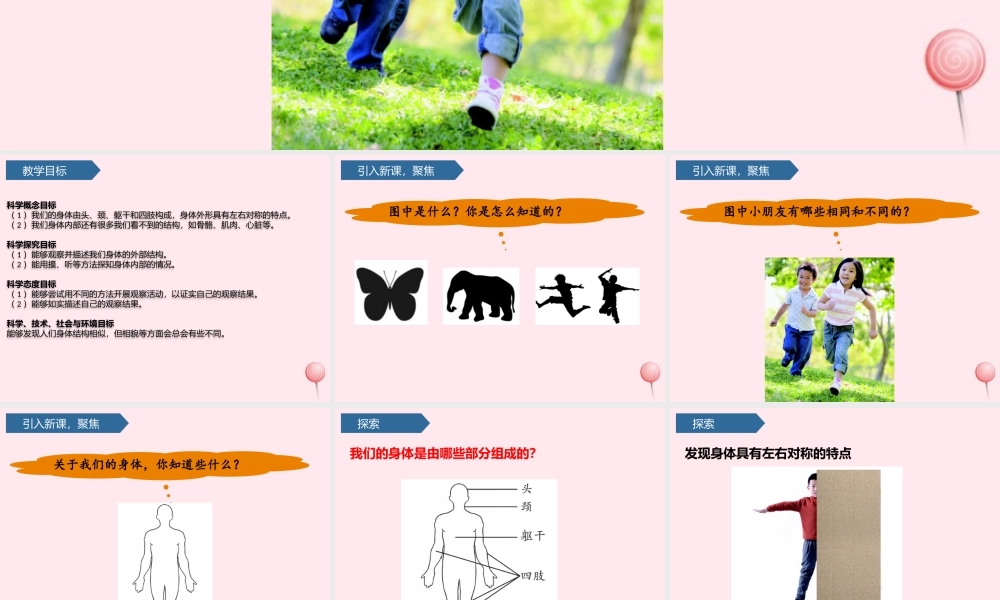 二年级科学下册 我们自己 1观察我们的身体课件 教科版-教科版小学二年级下册自然科学课件