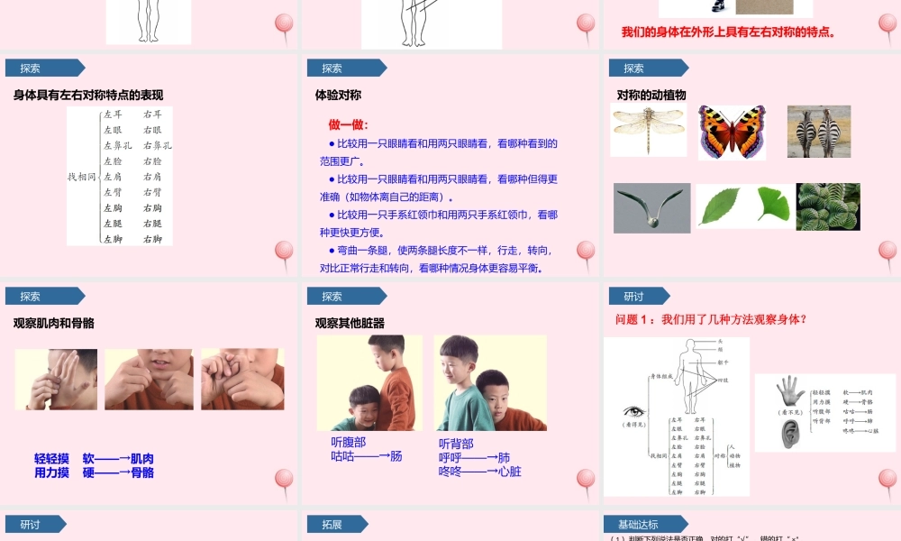 二年级科学下册 我们自己 1观察我们的身体课件 教科版-教科版小学二年级下册自然科学课件