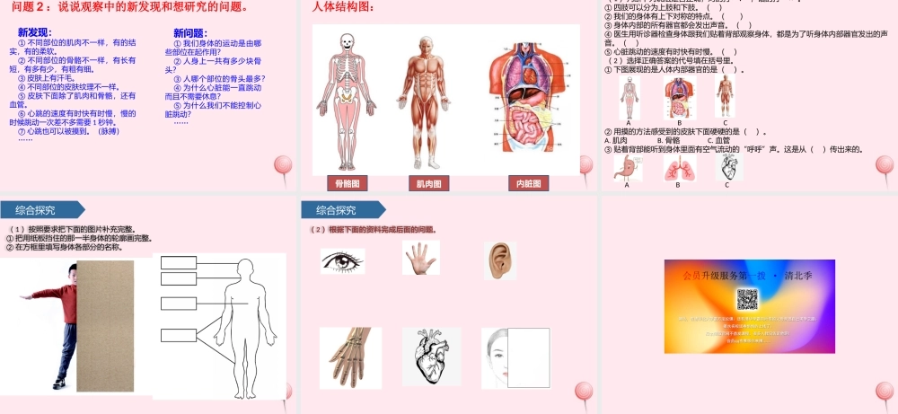 二年级科学下册 我们自己 1观察我们的身体课件 教科版-教科版小学二年级下册自然科学课件
