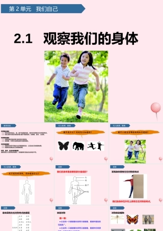 二年级科学下册 我们自己 1观察我们的身体课件 教科版-教科版小学二年级下册自然科学课件