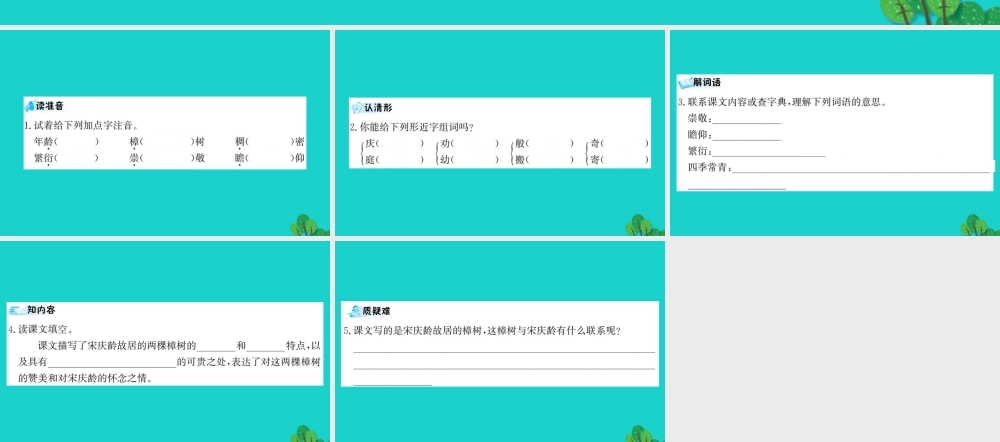 三年级语文下册 第五单元 16《宋庆龄故居的樟树》预习课件 苏教版-苏教版小学三年级下册语文课件