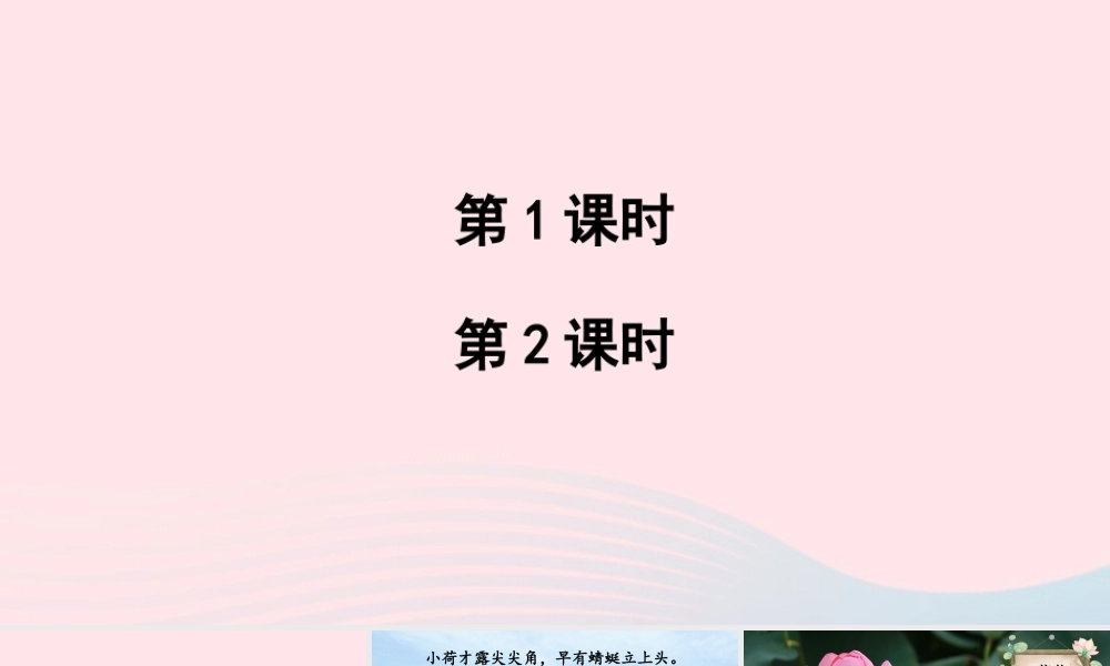 三年级语文下册 第一单元 3《荷花》教学课件 新人教版-新人教版小学三年级下册语文课件