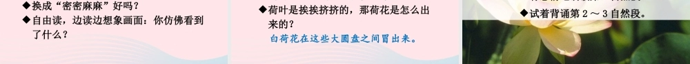 三年级语文下册 第一单元 3《荷花》教学课件 新人教版-新人教版小学三年级下册语文课件