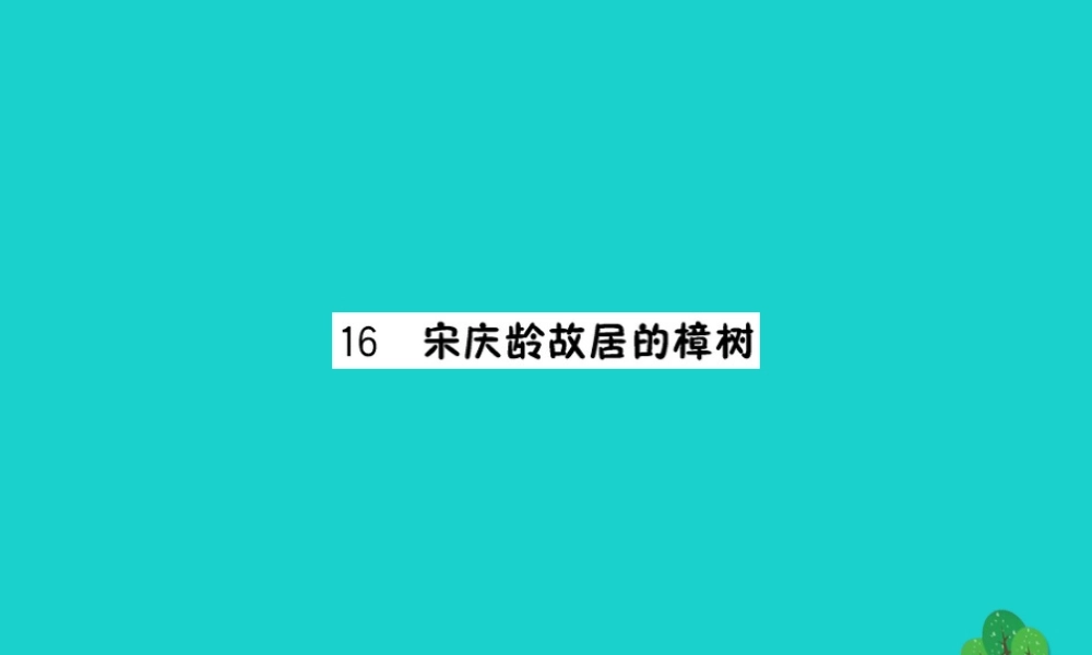 三年级语文下册 第五单元 16《宋庆龄故居的樟树》作业课件 苏教版-苏教版小学三年级下册语文课件
