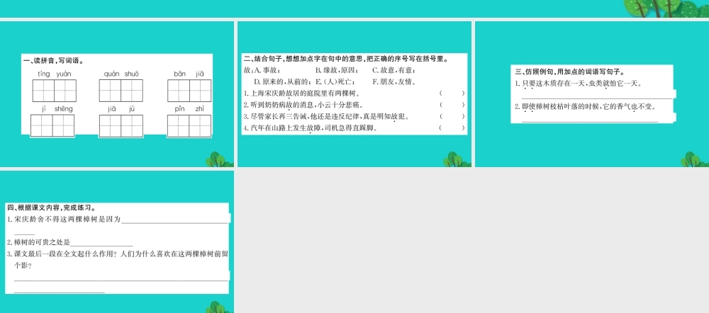三年级语文下册 第五单元 16《宋庆龄故居的樟树》作业课件 苏教版-苏教版小学三年级下册语文课件