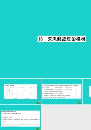 三年级语文下册 第五单元 16《宋庆龄故居的樟树》作业课件 苏教版-苏教版小学三年级下册语文课件