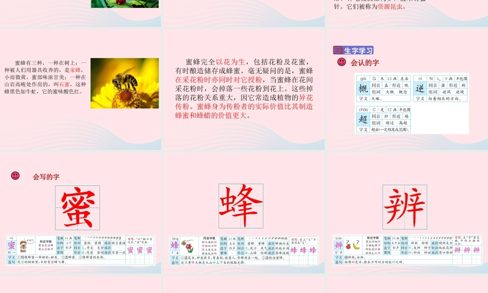 三年级语文下册 第四单元 14 蜜蜂课件 新人教版-新人教版小学三年级下册语文课件