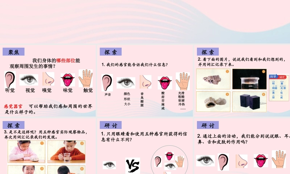 二年级科学下册 我们自己 2 通过感官来发现课件 教科版-教科版小学二年级下册自然科学课件