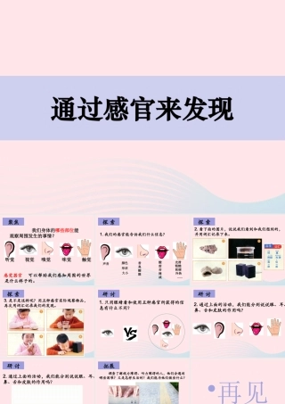二年级科学下册 我们自己 2 通过感官来发现课件 教科版-教科版小学二年级下册自然科学课件