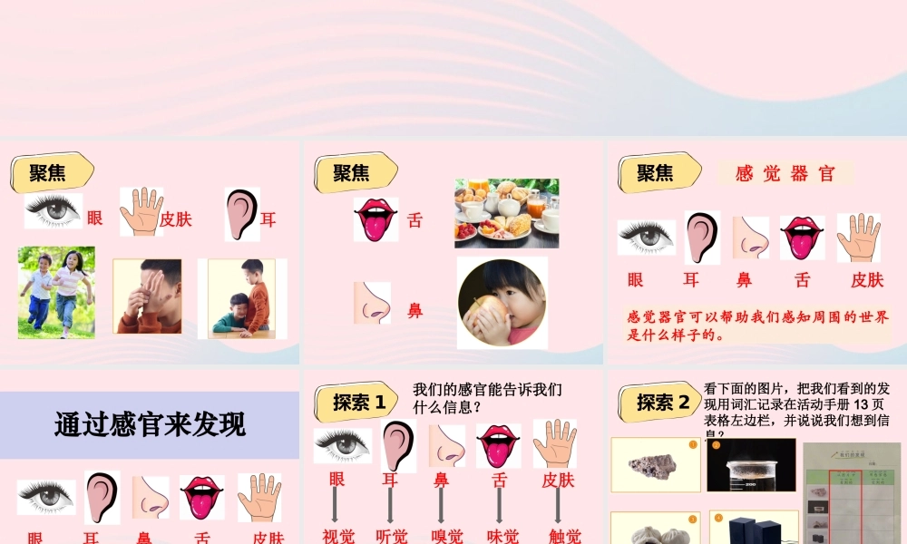 二年级科学下册 我们自己 2《通过感官来发现》课件 教科版-教科版小学二年级下册自然科学课件