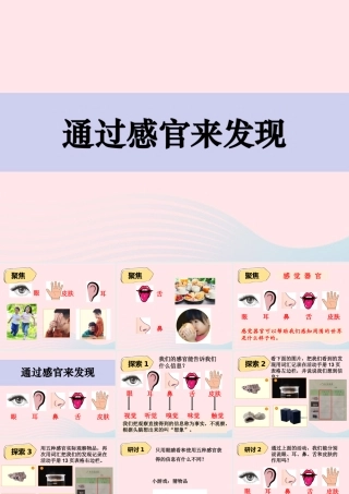 二年级科学下册 我们自己 2《通过感官来发现》课件 教科版-教科版小学二年级下册自然科学课件