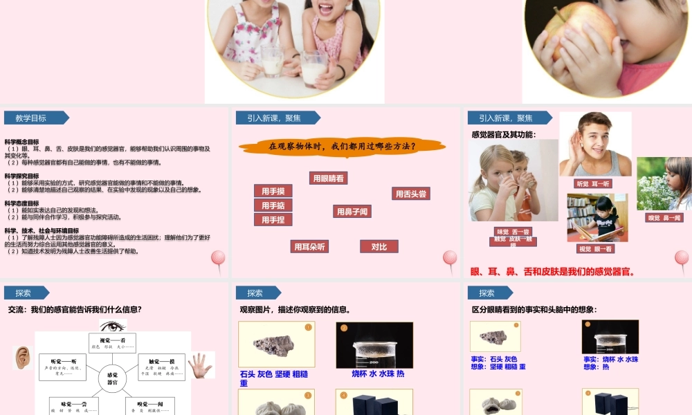 二年级科学下册 我们自己 2通过感官来发现课件 教科版-教科版小学二年级下册自然科学课件