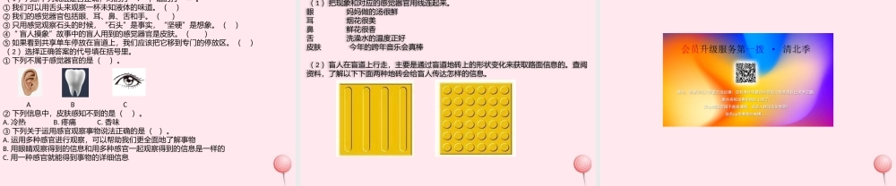 二年级科学下册 我们自己 2通过感官来发现课件 教科版-教科版小学二年级下册自然科学课件