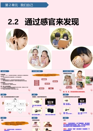 二年级科学下册 我们自己 2通过感官来发现课件 教科版-教科版小学二年级下册自然科学课件