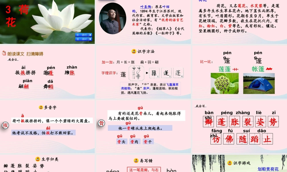 三年级语文下册 第一单元 3《荷花》教学课件 新人教版-新人教级下册语文课件