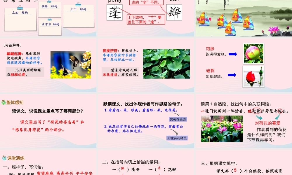 三年级语文下册 第一单元 3《荷花》教学课件 新人教版-新人教级下册语文课件