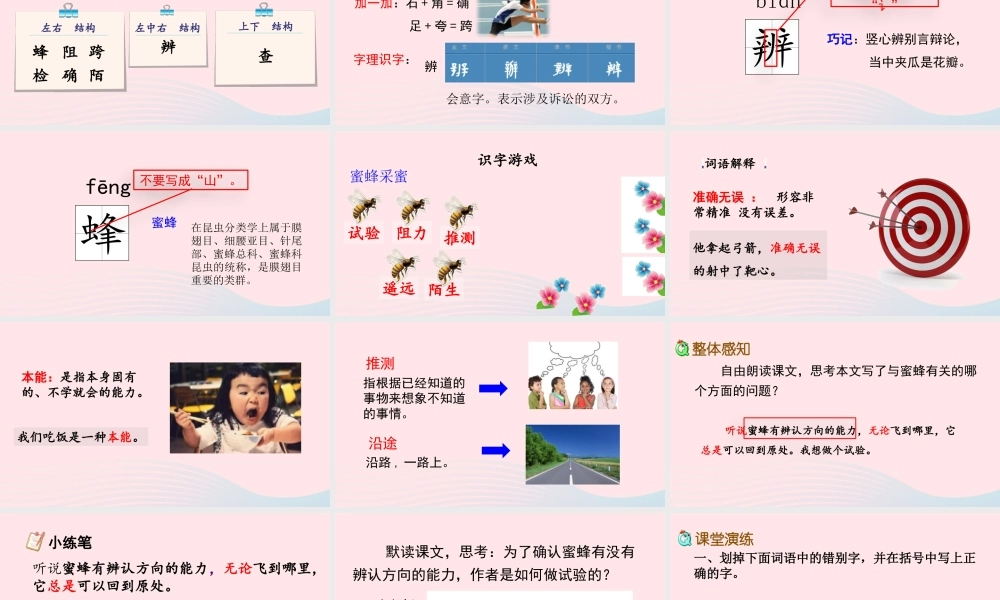 三年级语文下册 第四单元 14 蜜蜂课件 新人教版-新人教级下册语文课件