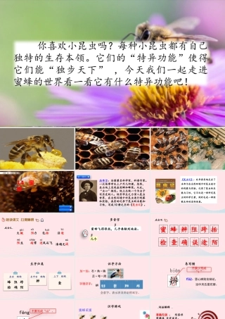 三年级语文下册 第四单元 14 蜜蜂课件 新人教版-新人教级下册语文课件