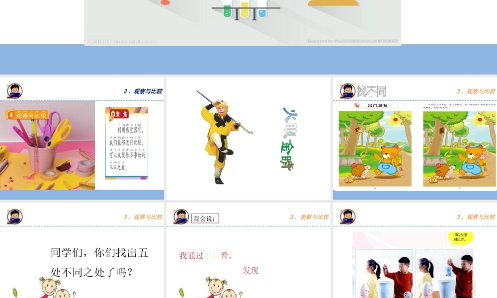 二年级科学下册 我们自己 3 观察与比较课件 教科版-教科版小学二年级下册自然科学课件