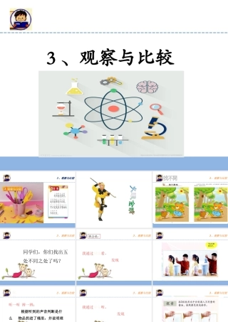 二年级科学下册 我们自己 3 观察与比较课件 教科版-教科版小学二年级下册自然科学课件