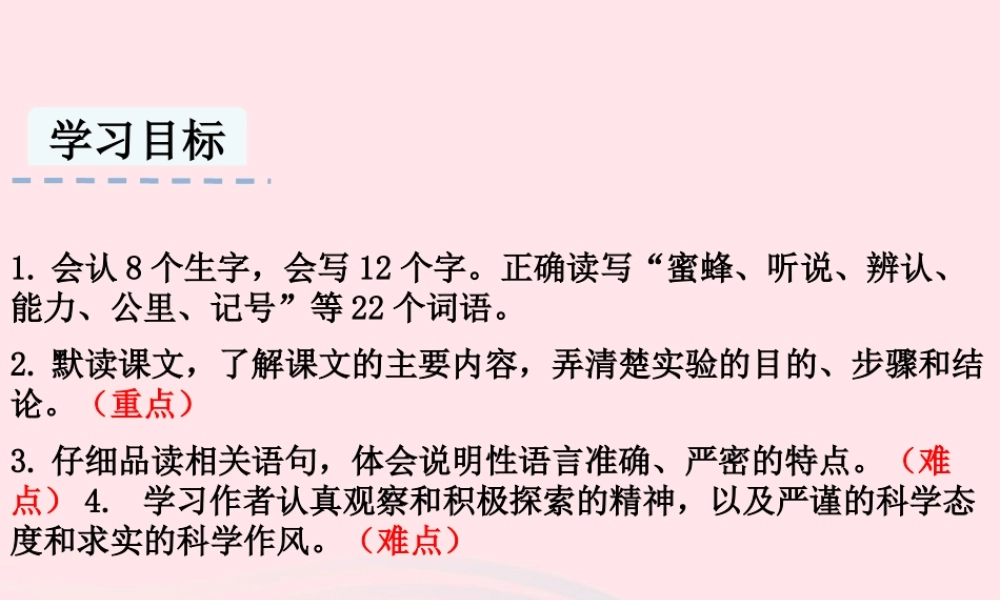 三年级语文下册 第四单元 14 蜜蜂课件2 新人教版-新人教版小学三年级下册语文课件